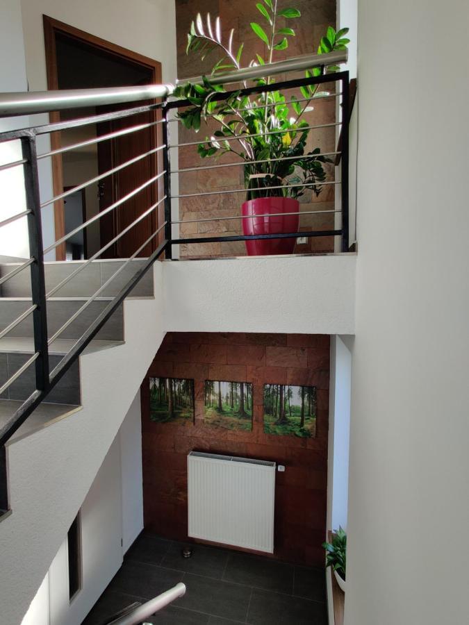 Apartmany V Nasem 奥洛穆茨 外观 照片